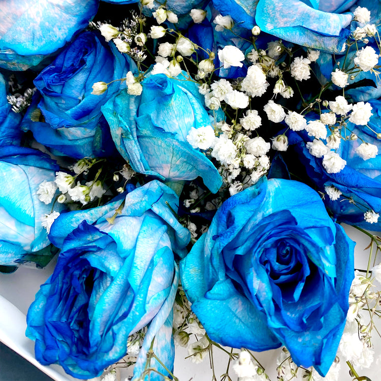 Blue Eternal Elegance