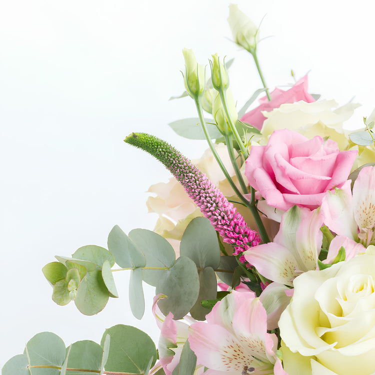 Dulcet of Reconciliation