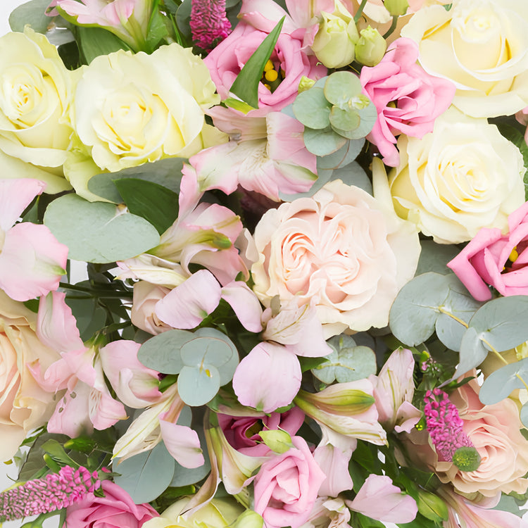 Dulcet of Reconciliation