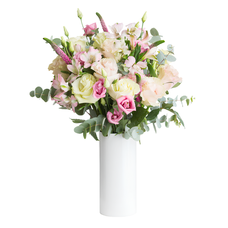 Dulcet of Reconciliation