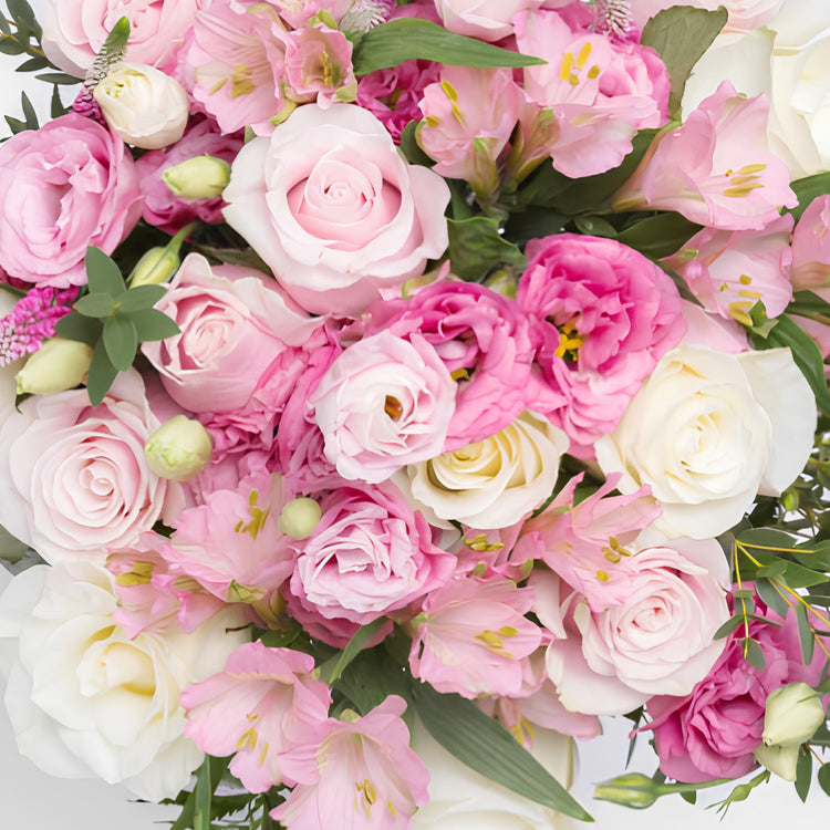 Dulcet of Reconciliation