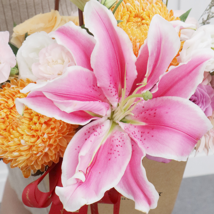 Versace Vibrant Vase