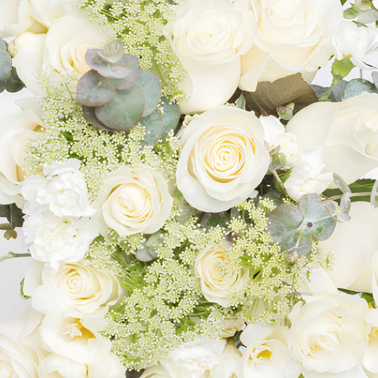 Wallowing Wholesomeness