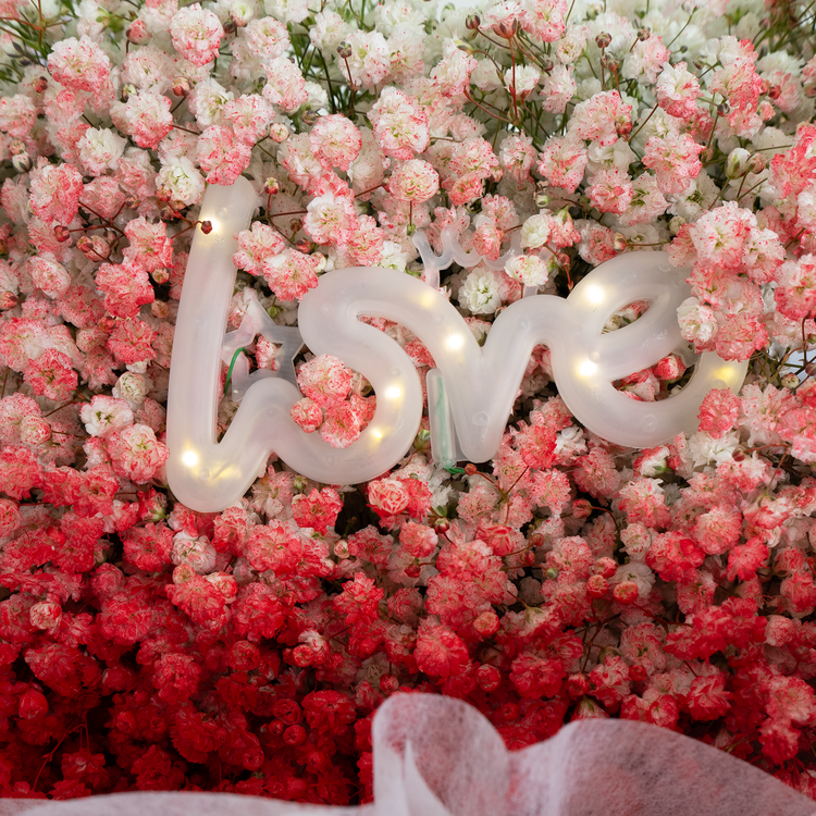 Fantabulous Fairytale