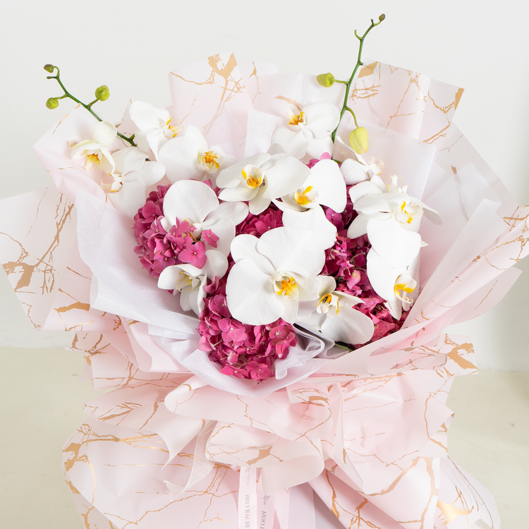 Orchid's Wonderland