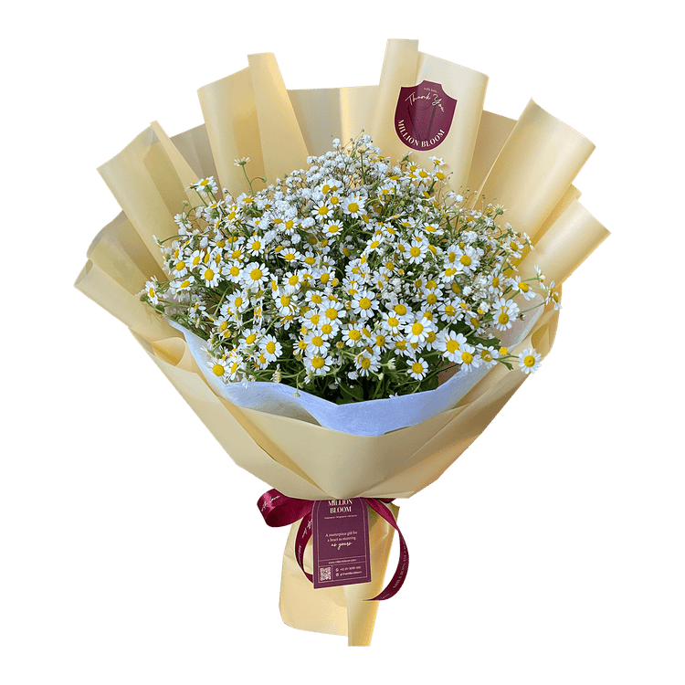 Dreamy Chamomiles - The Million Bloom® -
