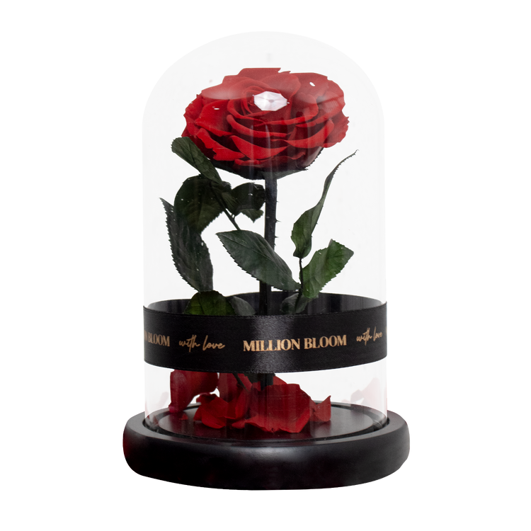 Eternal Rose Flower