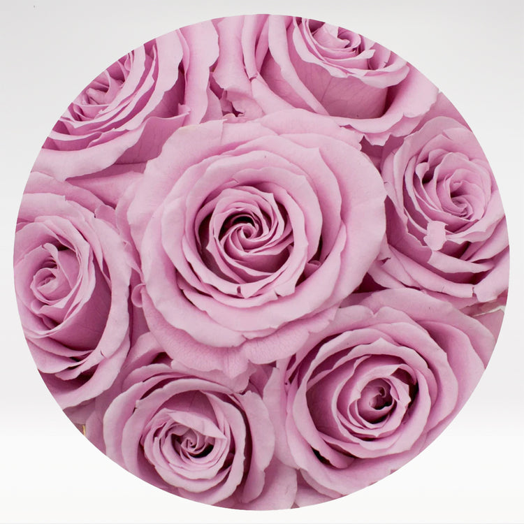 Fairy Floss - Bloom Box