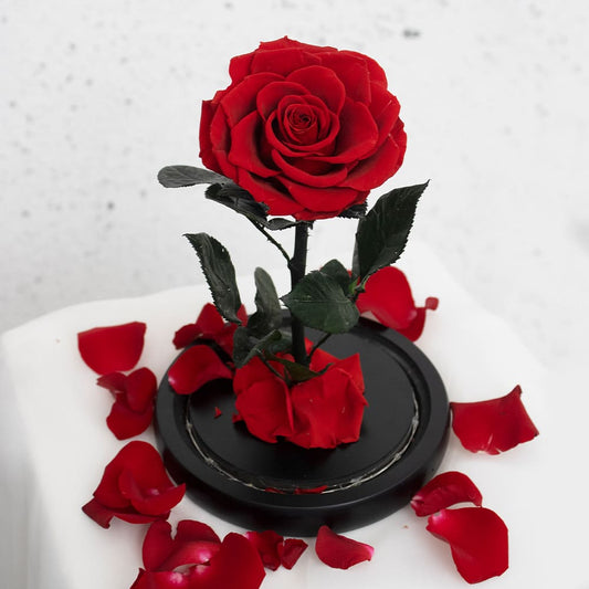 Eternal Rose Flower