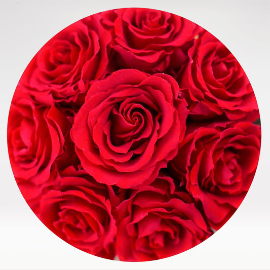 Moonlit Roses - Bloom Box