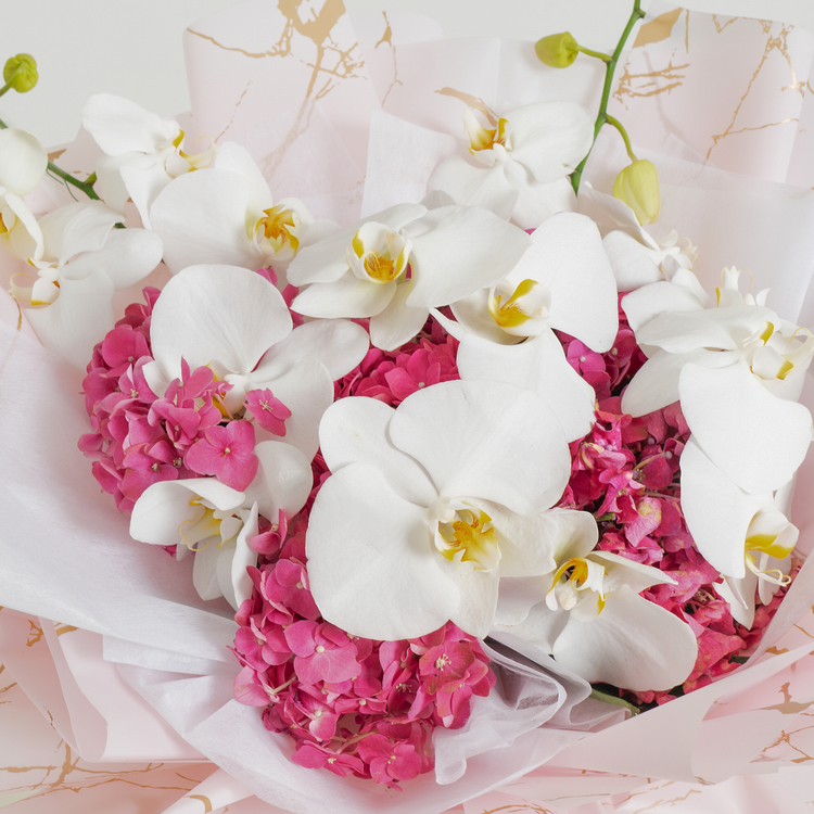 Orchid's Wonderland