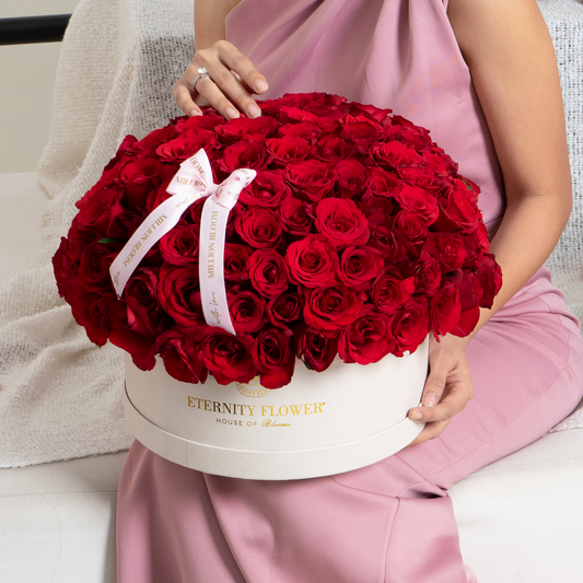 Yorkshire Superdome Box