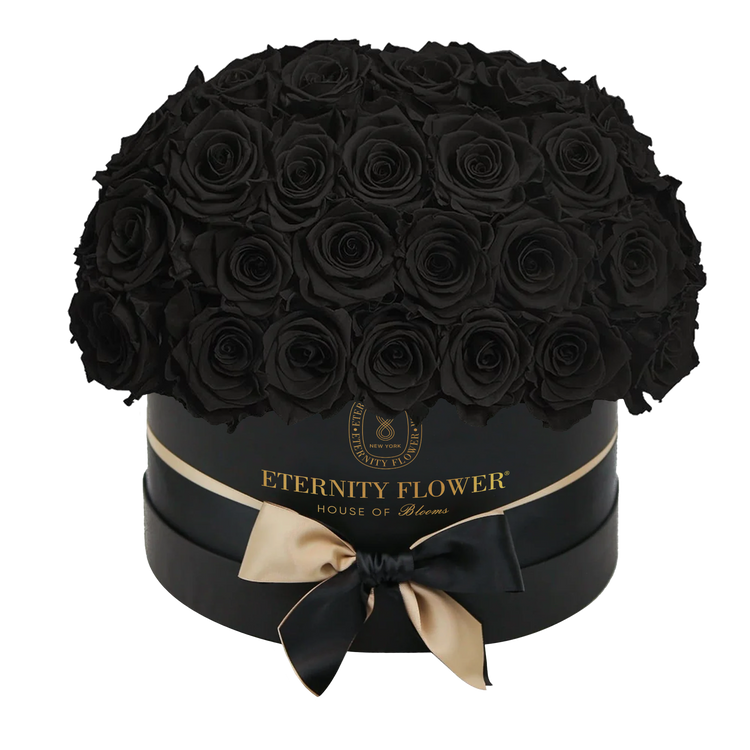 Yorkshire Superdome Box