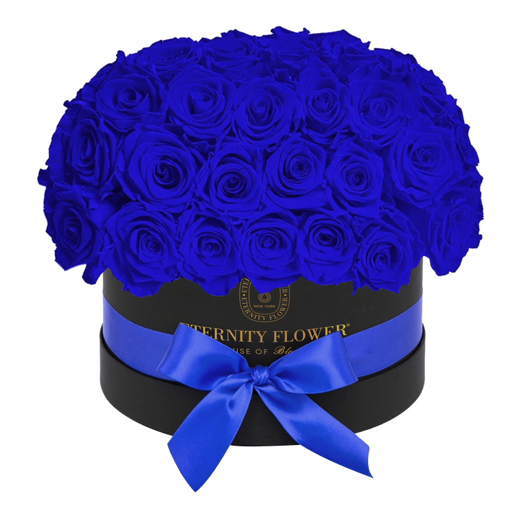 Yorkshire Superdome Box