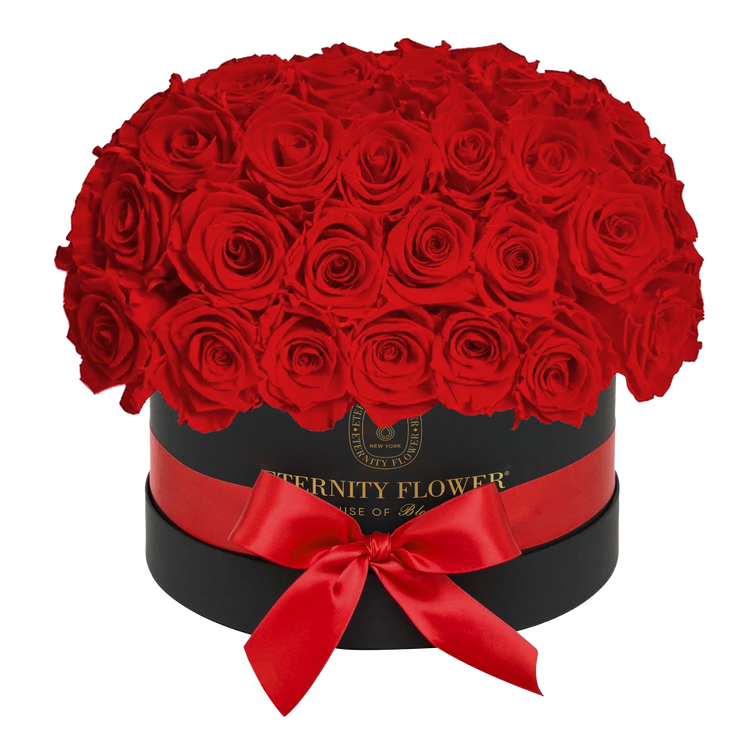 Yorkshire Superdome Box