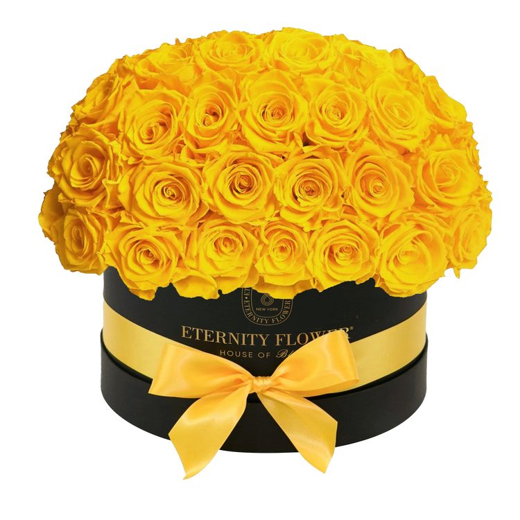 Yorkshire Superdome Box