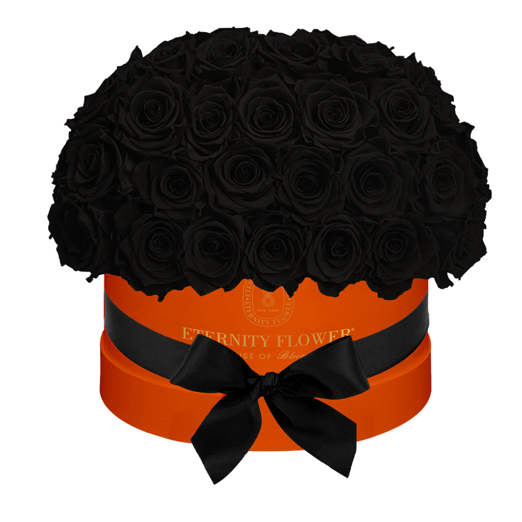 Yorkshire Superdome Box