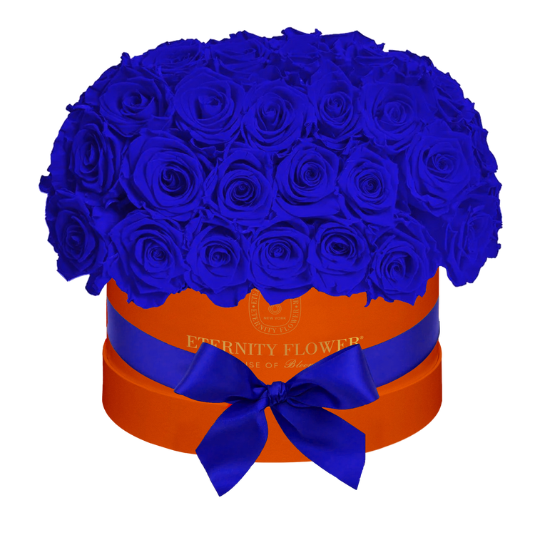 Yorkshire Superdome Box