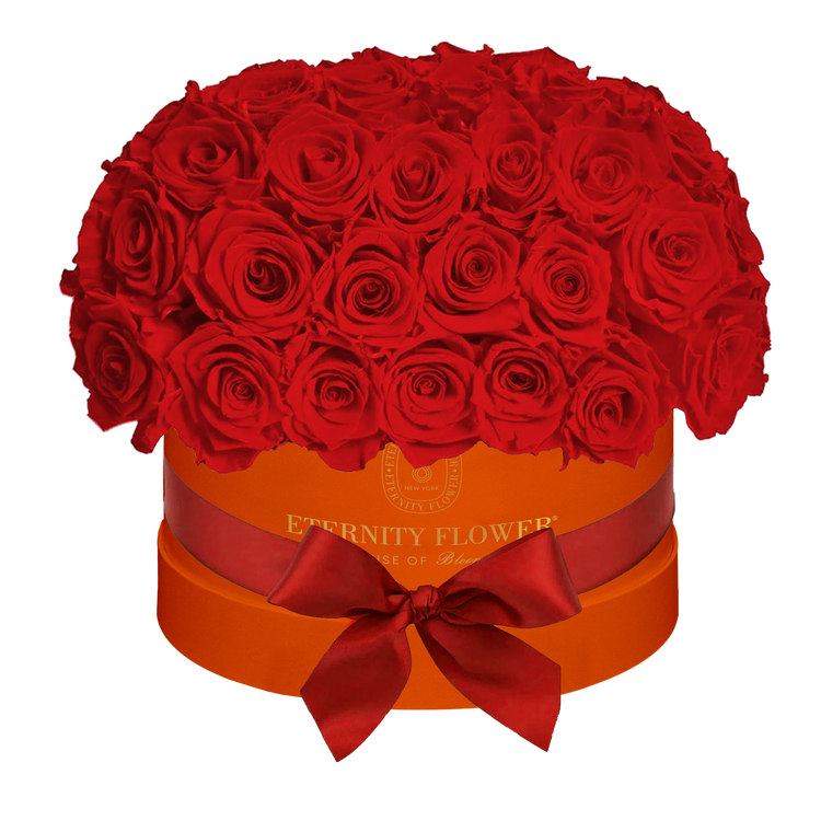 Yorkshire Superdome Box