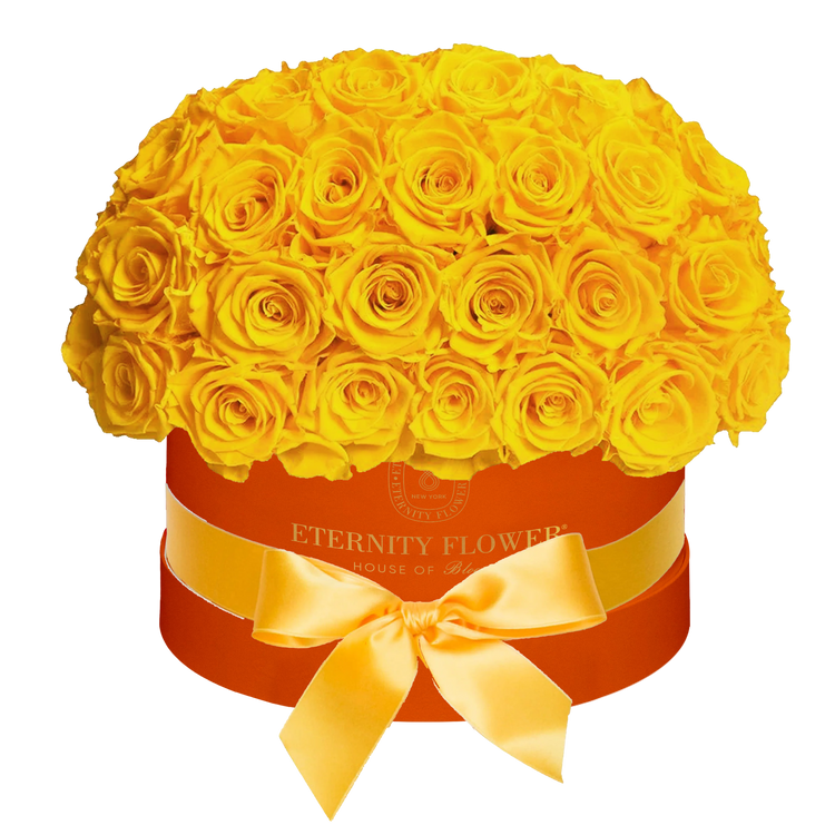 Yorkshire Superdome Box