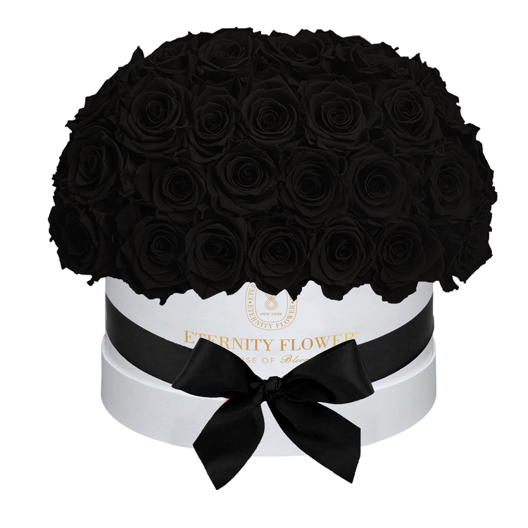 Yorkshire Superdome Box