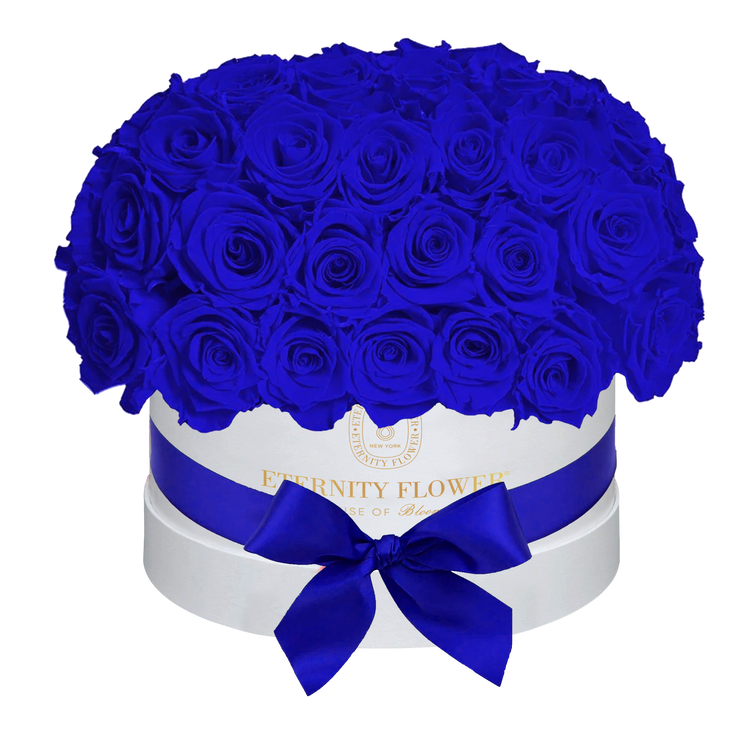 Yorkshire Superdome Box