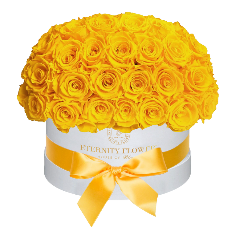 Yorkshire Superdome Box