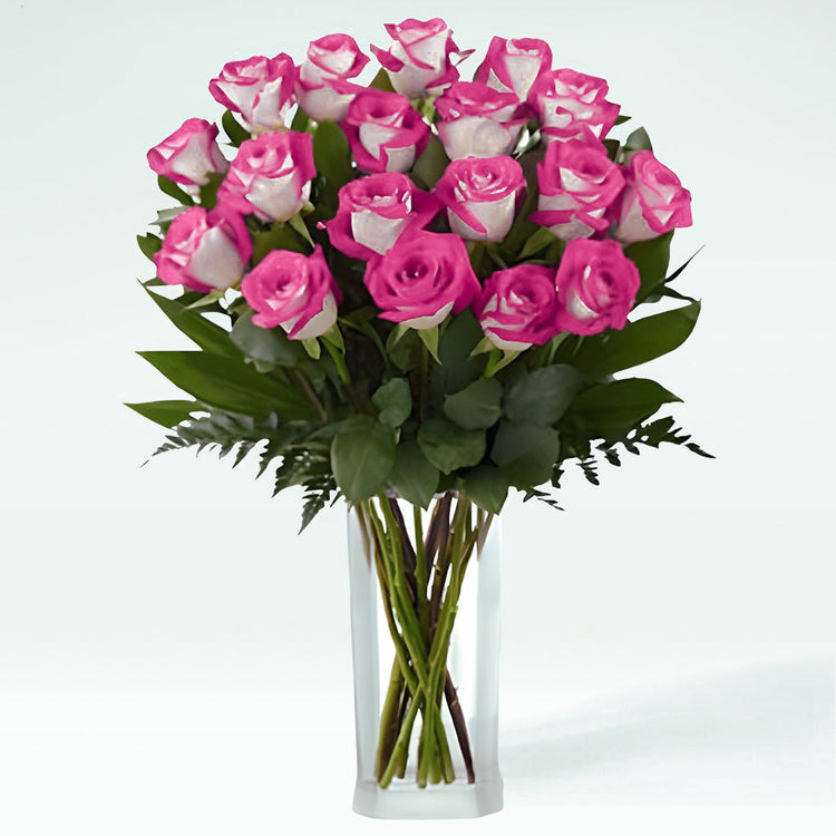 Blushing Bride Roses