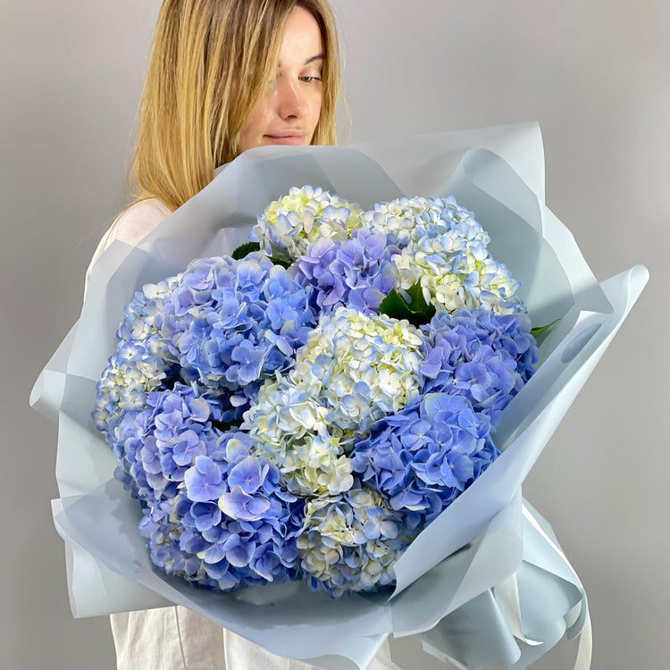 A Sky Full of Hydrangeas