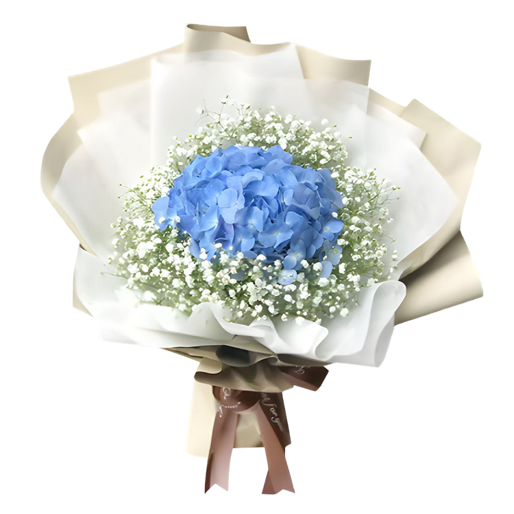 Sapphire Dreams - The Million Bloom® -