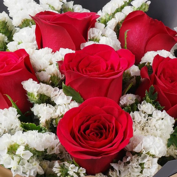 Blushing Rose Snow - The Million Bloom® -