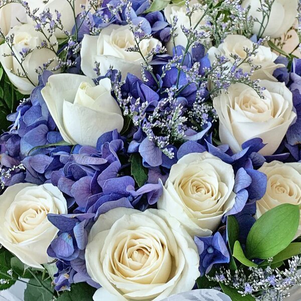 Cloud Nine - The Million Bloom® -