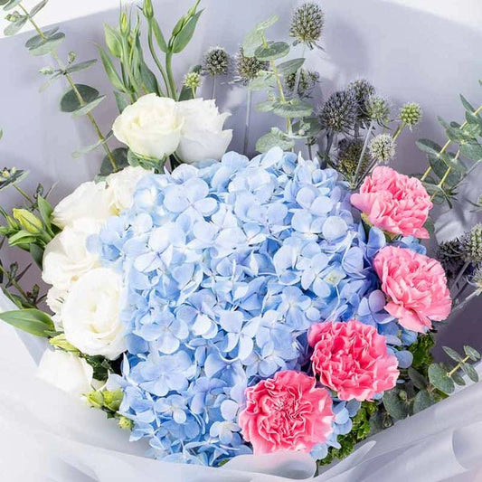 Delicate Beauty - The Million Bloom® -