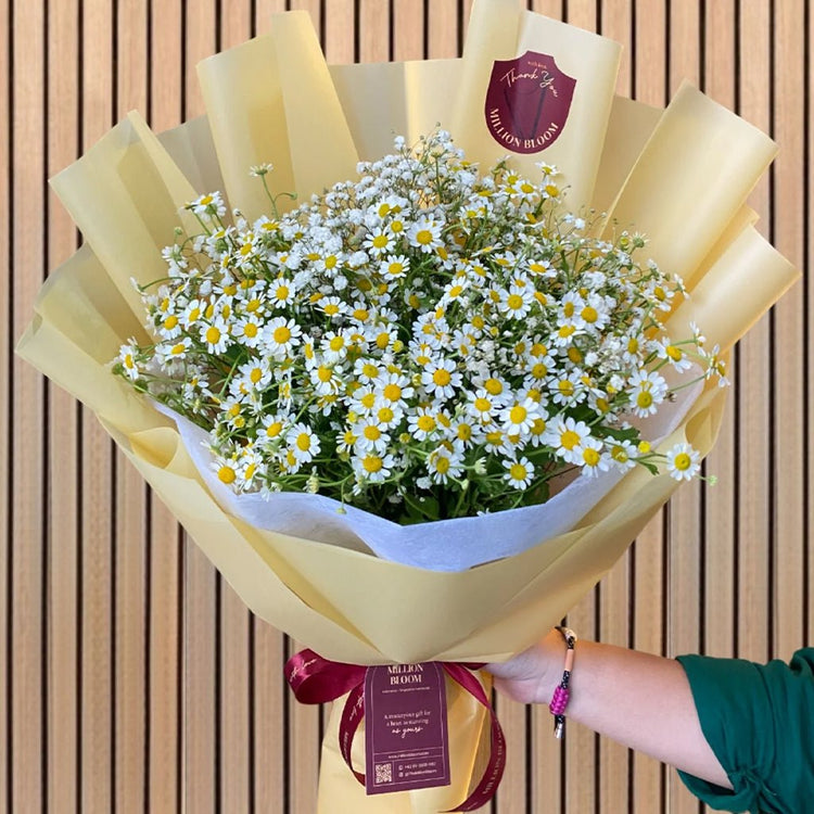 Dreamy Chamomiles - The Million Bloom® -