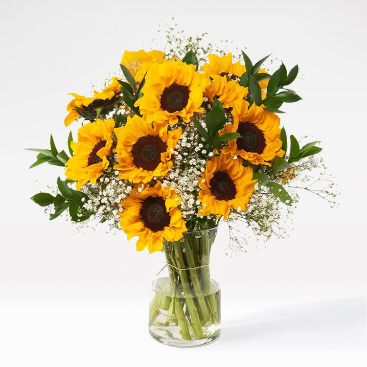 Fields of Sunshine - The Million Bloom® -