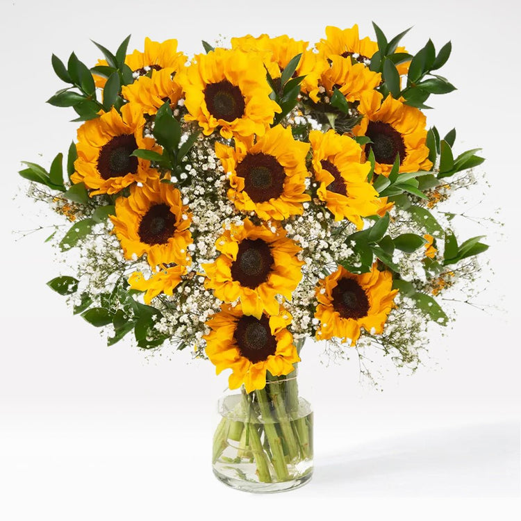 Fields of Sunshine - The Million Bloom® -