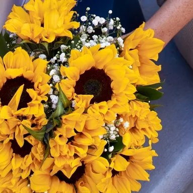 Fields of Sunshine - The Million Bloom® -
