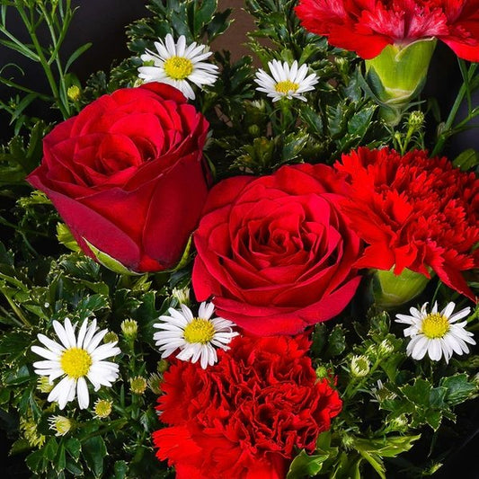 Fiery Passion - The Million Bloom® -