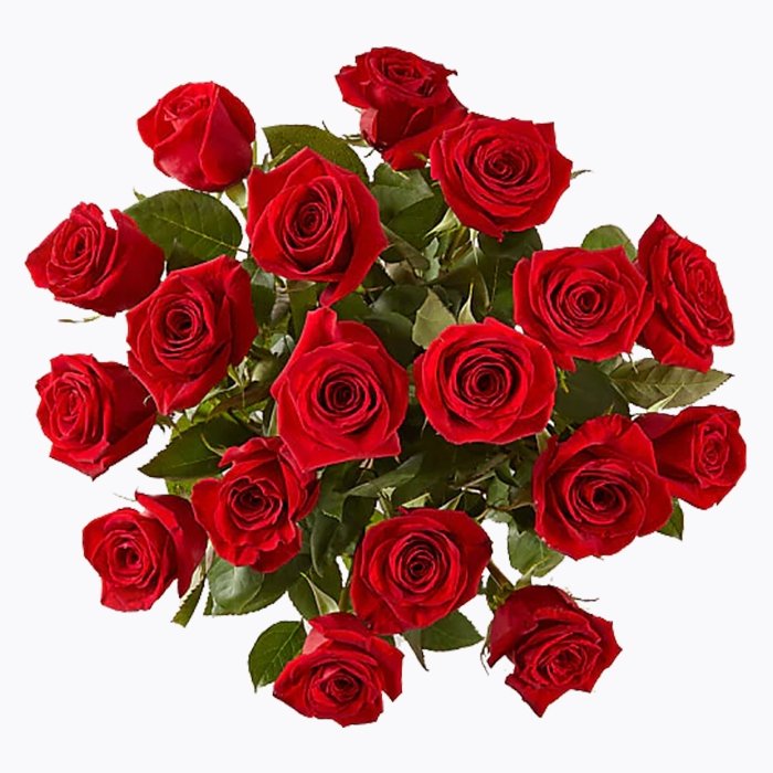 Heartfelt Red Roses - The Million Bloom® -