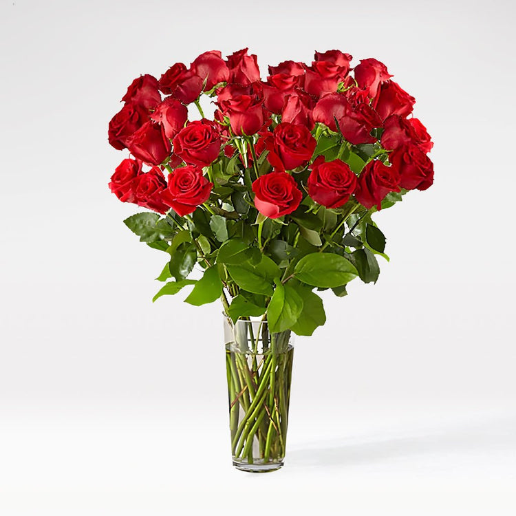 Heartfelt Red Roses - The Million Bloom® -