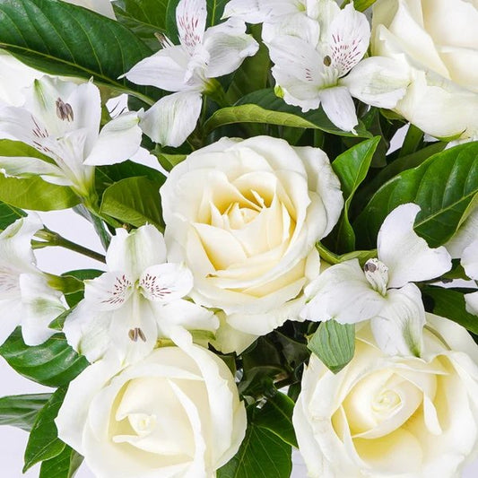 Pearl Blossoms - The Million Bloom® -