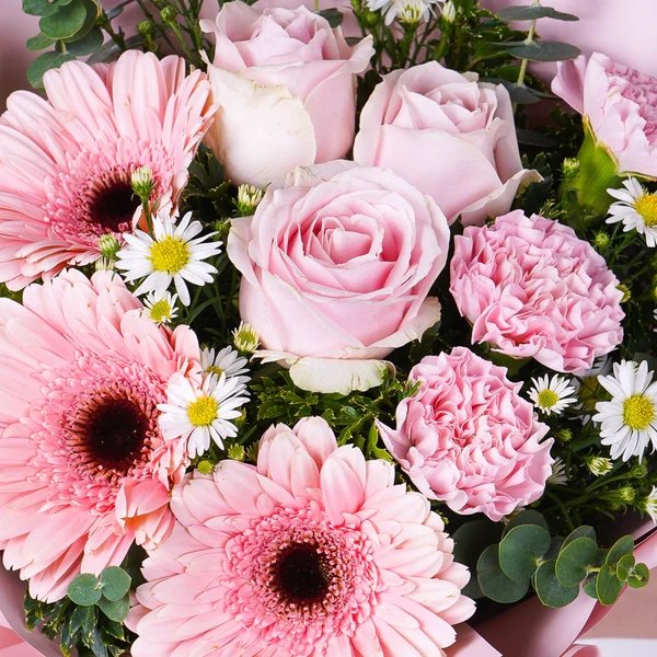 Pink Perfection - The Million Bloom® -