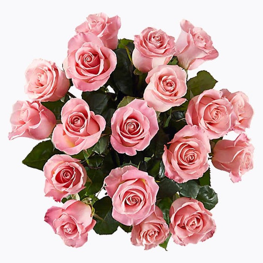 Pretty Pastel - The Million Bloom® -