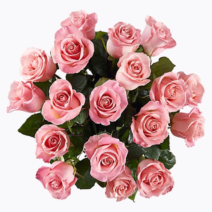 Pretty Pastel - The Million Bloom® -