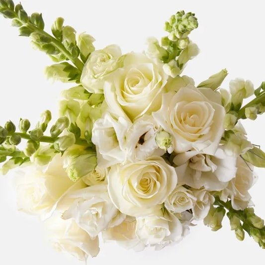 Pure Elegance - The Million Bloom® -