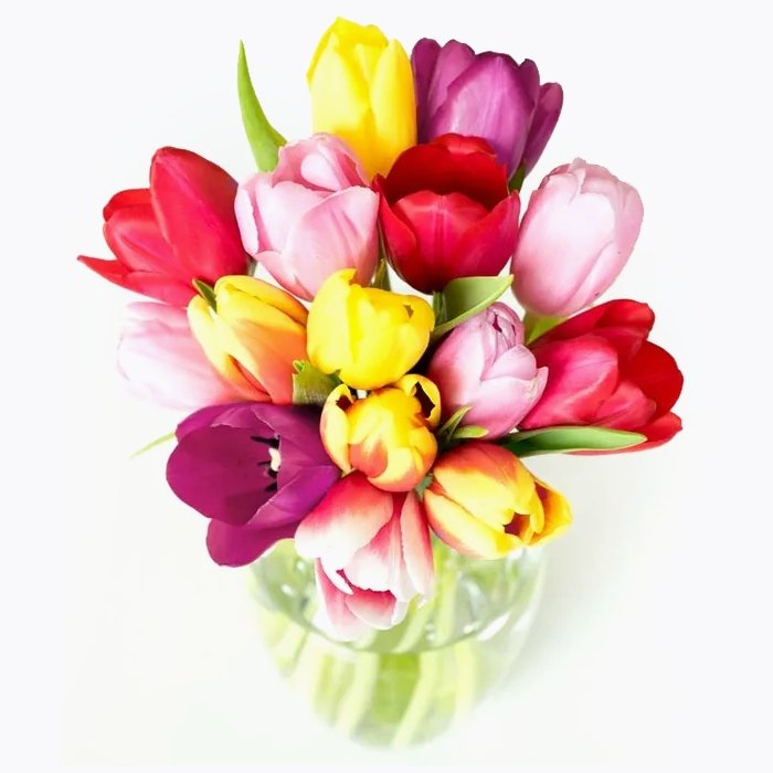 Rainbow of Hope - The Million Bloom® -