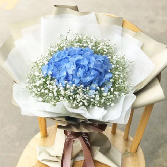 Sapphire Dreams - The Million Bloom® -