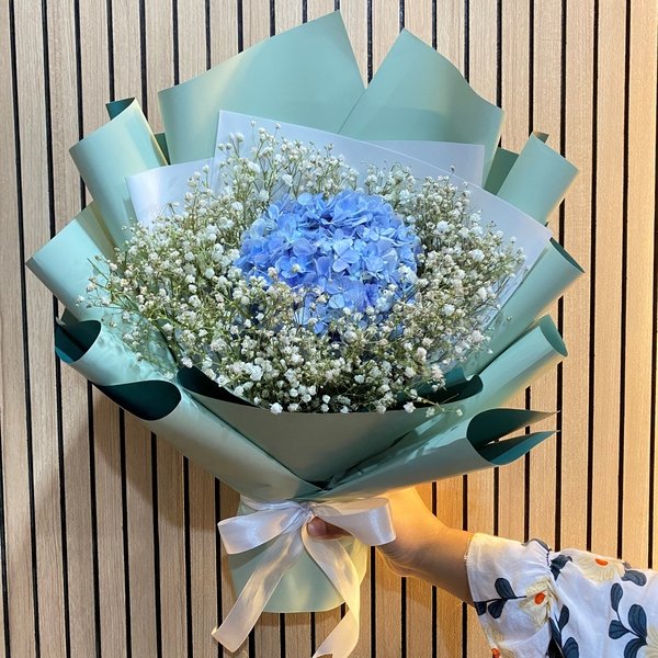 Sapphire Dreams - The Million Bloom® -