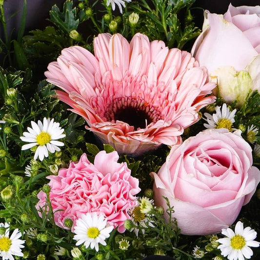 Springtime Delight - The Million Bloom® -