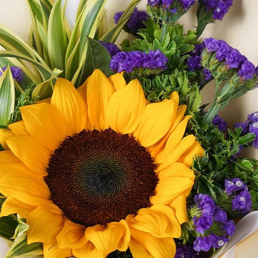 Tropical Oasis - The Million Bloom® -